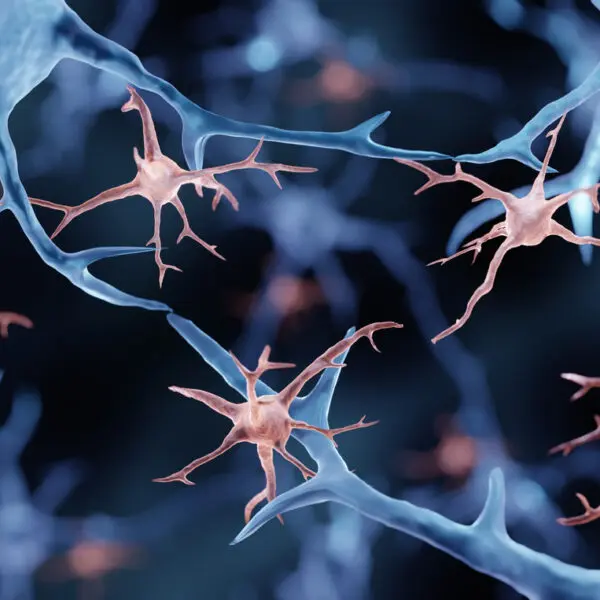 Verschillen tussen de microglia van witte- en grijze hersenstofgebieden in Multiple Sclerose