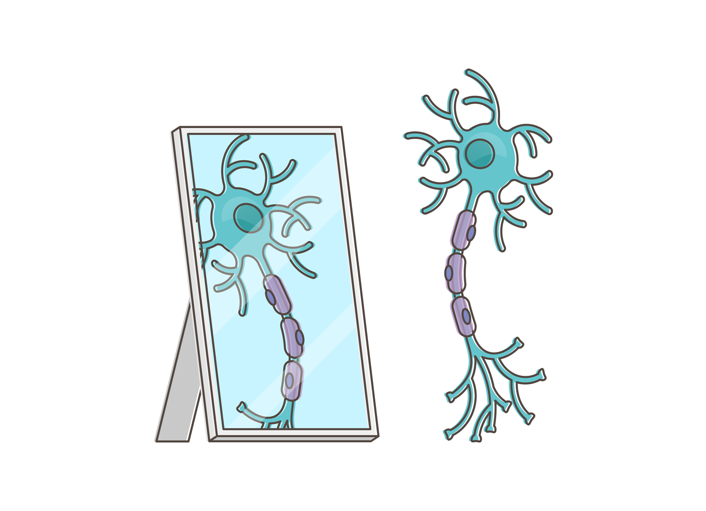 Spiegelneuronen