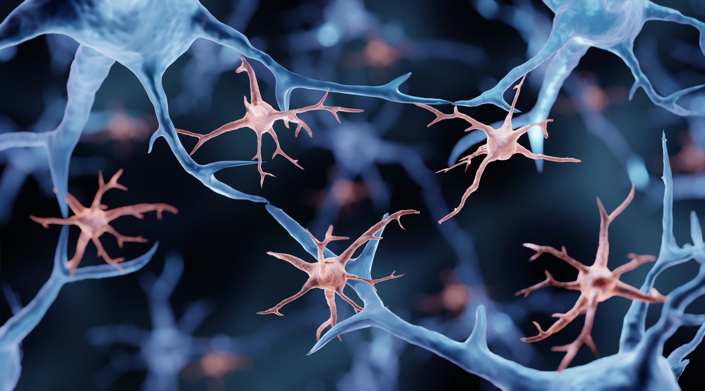 Verschillen tussen de microglia van witte- en grijze hersenstofgebieden in Multiple Sclerose