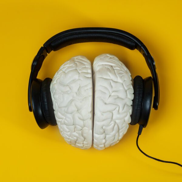 Muziek en het brein