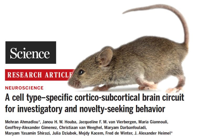 Science paper curiosity