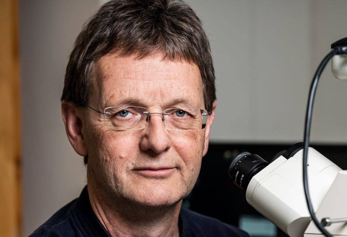 Dries Kalsbeek