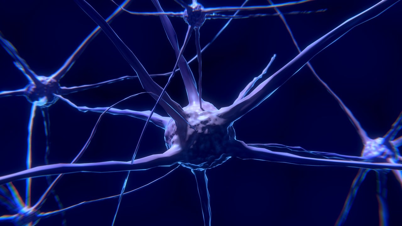 Behandeling hersenziektes in gevaar als neurowetenschappers hun onderzoek niet meer kunnen uitvoeren