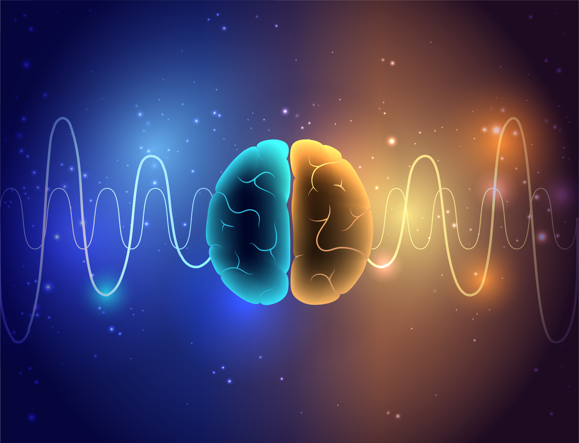 In de hersenen van mensen worden reeksen van concepten snel na elkaar geactiveerd tijdens de theta oscillatie