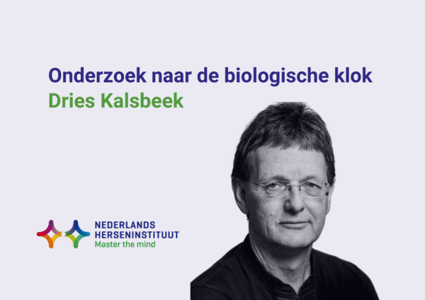 Onderzoek naar de biologische klok – Dries Kalsbeek