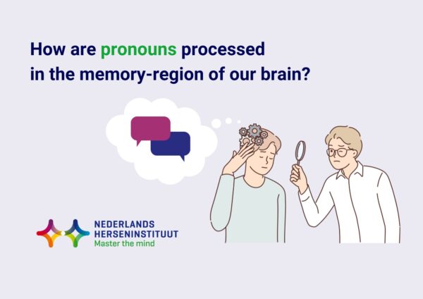 How are pronouns processed in the memory-region of our brain?